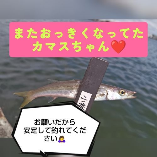 巴川河口