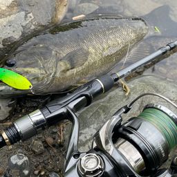 スモールマウスバス