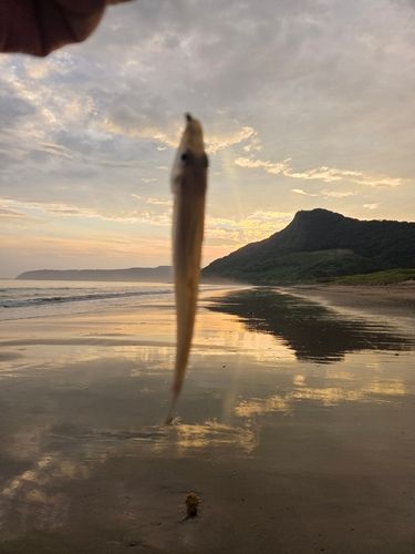 今津湾