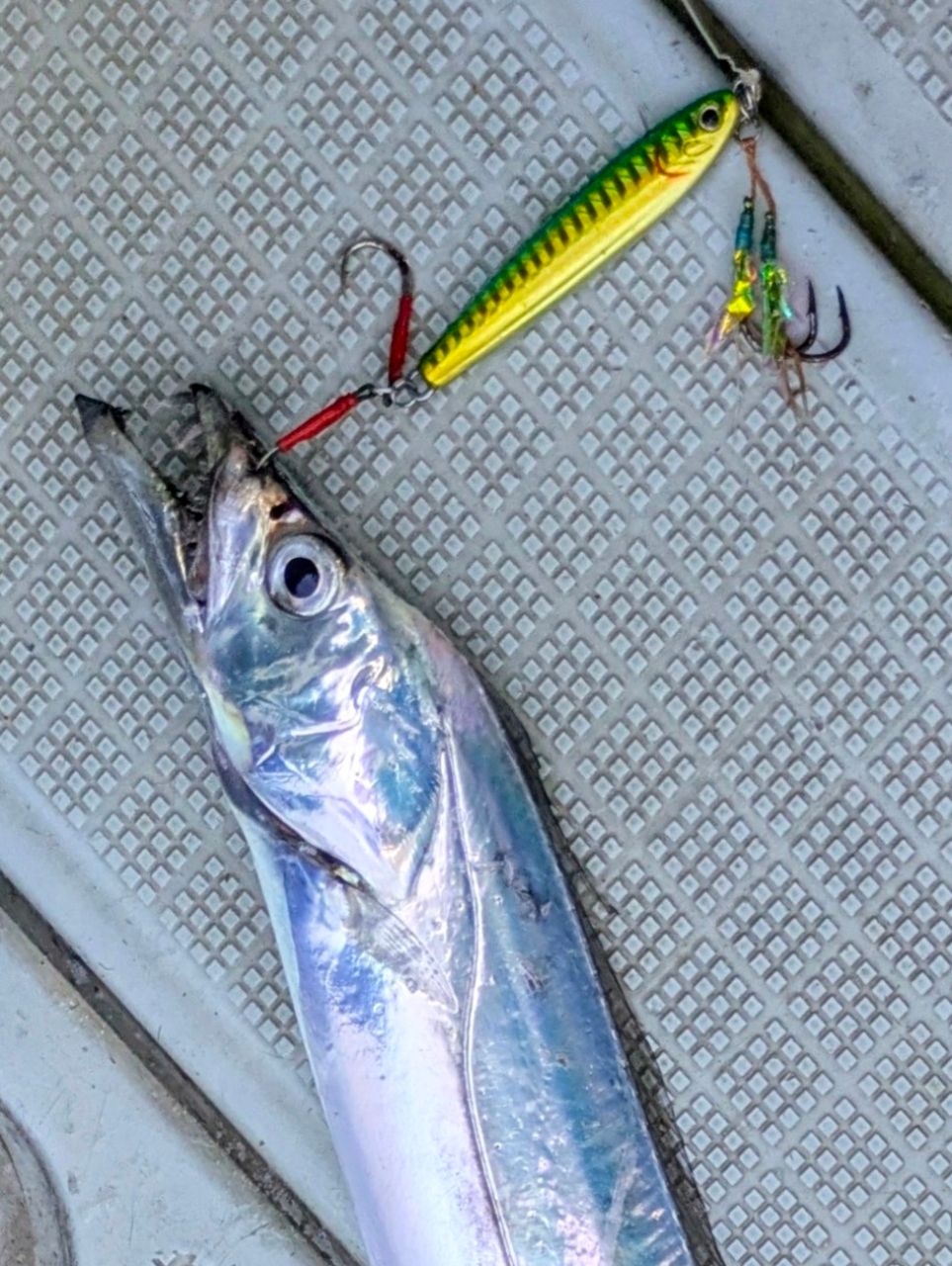 白梟さんの釣果 1枚目の画像