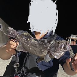 クロソイ
