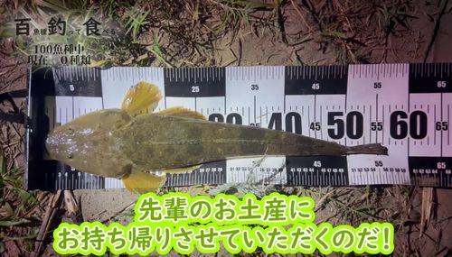 七北田川河口