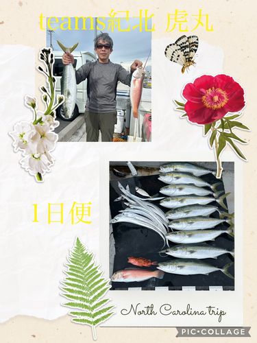 メジロの釣果