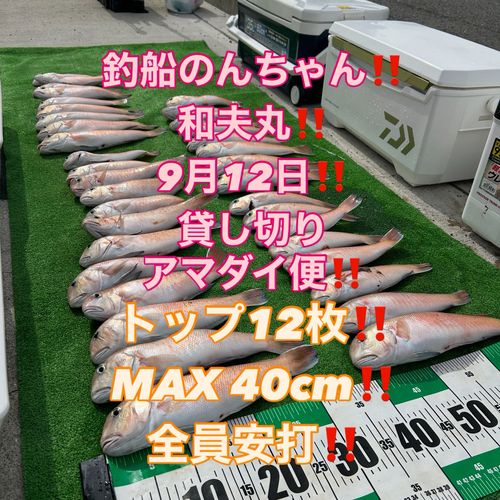 シロアマダイの釣果