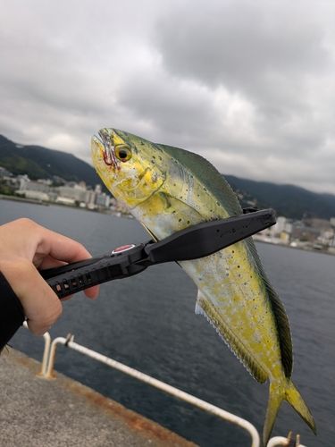 熱海港海釣り施設
