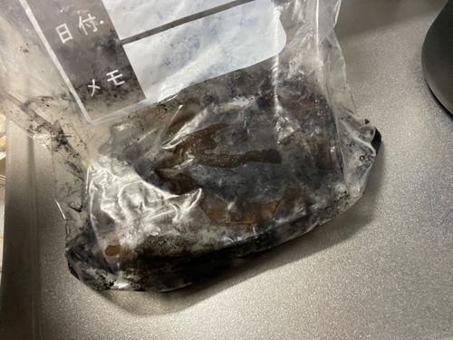 金浦漁港