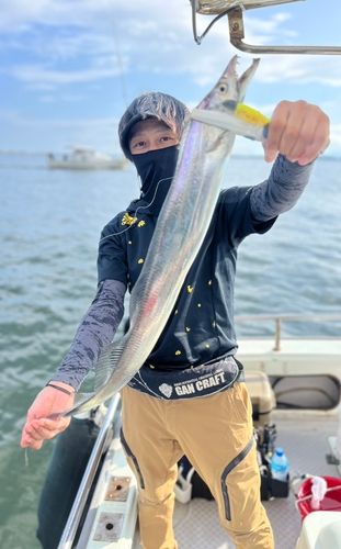 タチウオの釣果