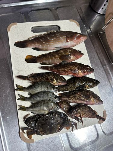 釣果