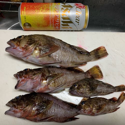 釣果