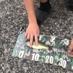 ブラックバス