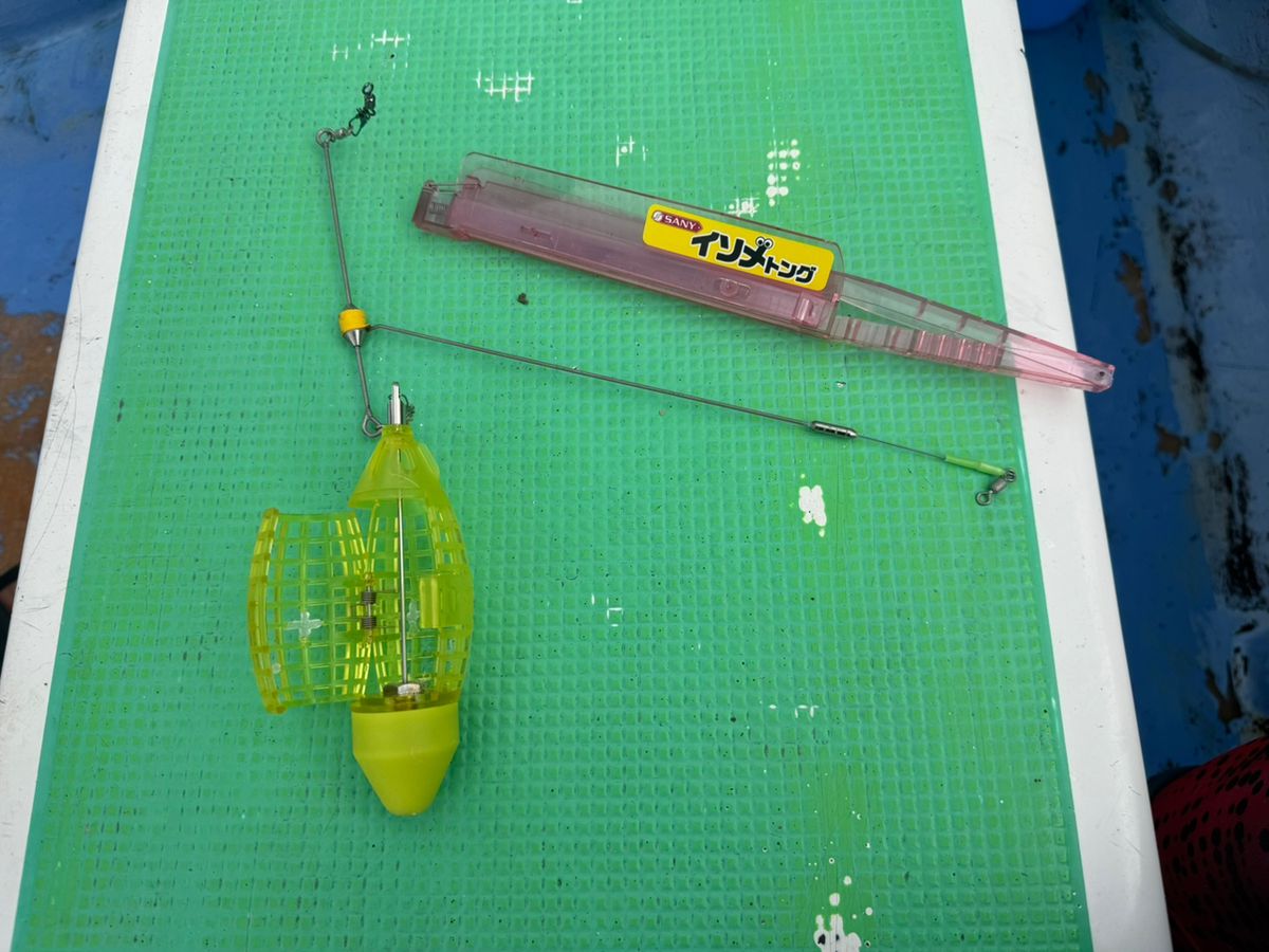 shizuシズさんの釣果 3枚目の画像