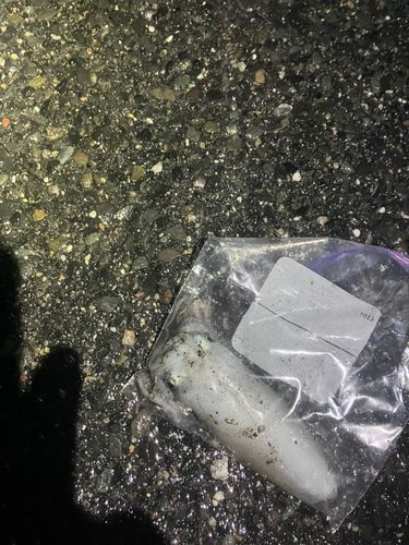 豊浜漁港
