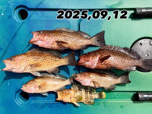 内ノ浦湾