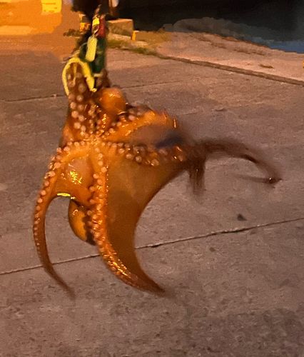 草津港