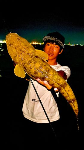 博多湾