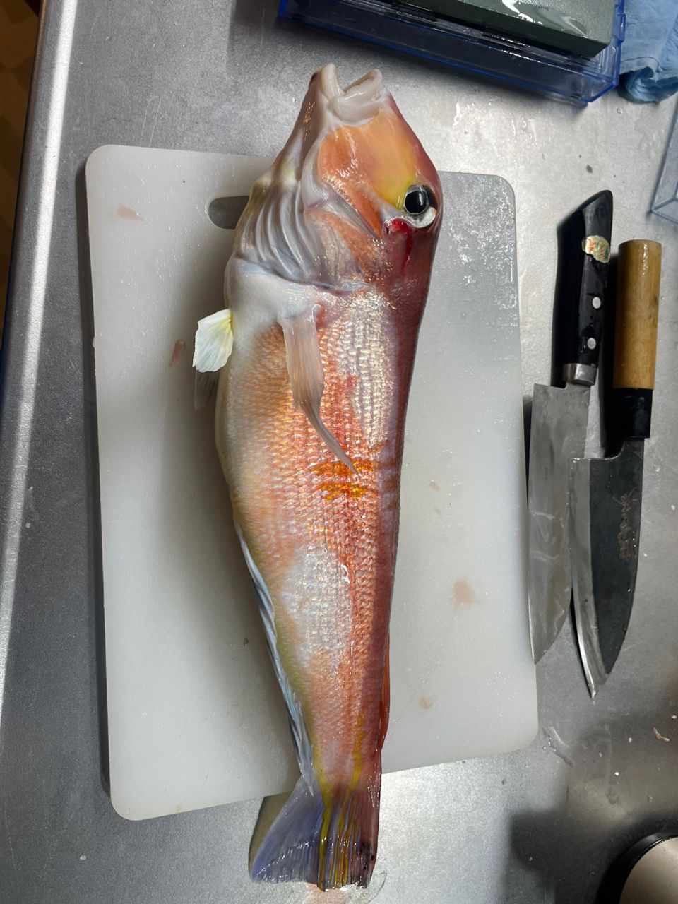 ちち711さんの釣果 2枚目の画像