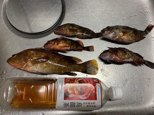 釣果