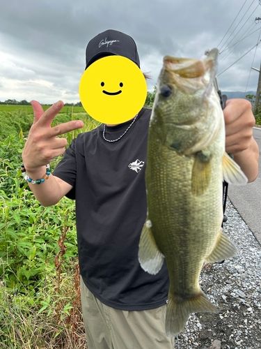 岐阜県南部