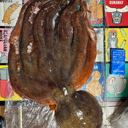 タコ