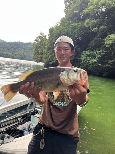 相模湖