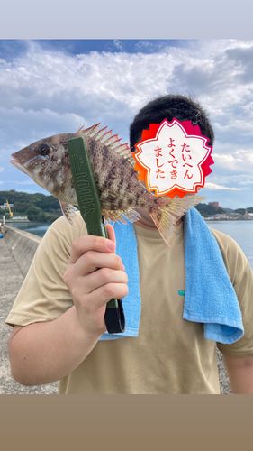 呼子港