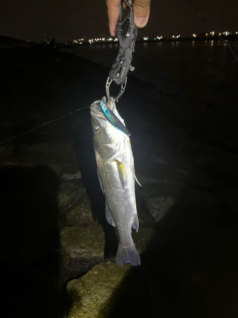 Jackson オーシャンゲート シーバス JOG-906M-K SeaBassの最安値