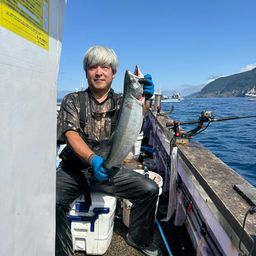 シロザケ