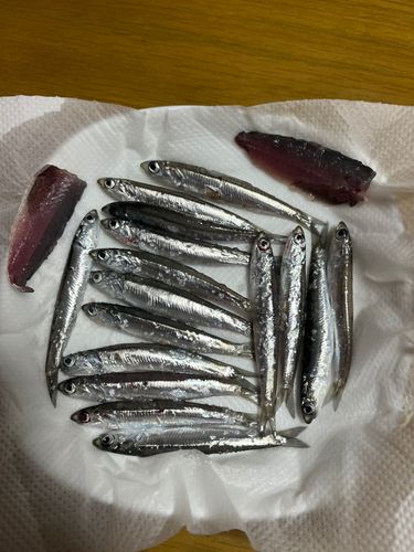 松島湾