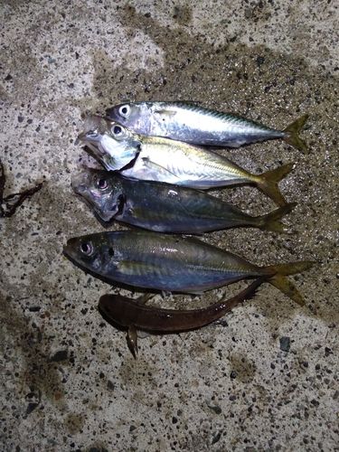 小名浜港市場前