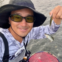 アユの釣果