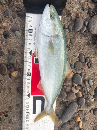 津軽半島