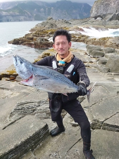 スマガツオの釣果