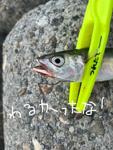 大津川河口