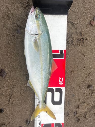 津軽半島