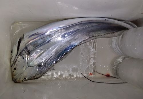 赤石埠頭