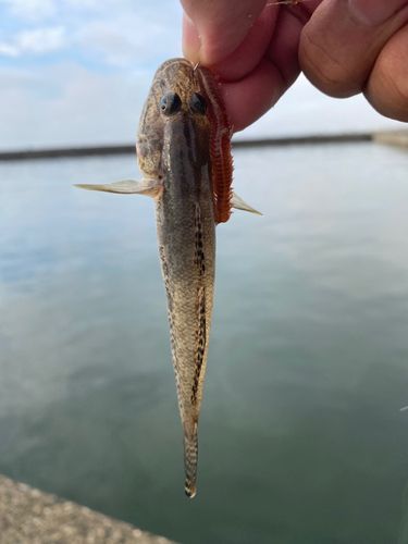 河芸漁港