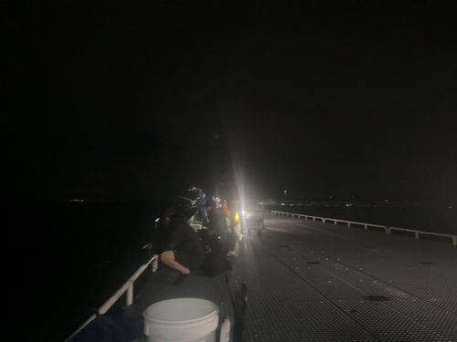 豊浜漁港