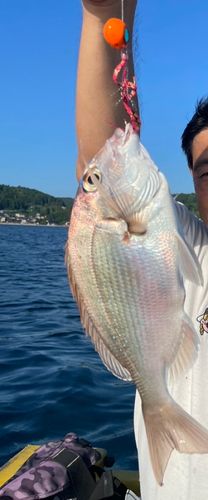 のとじま臨海公園海づりセンター