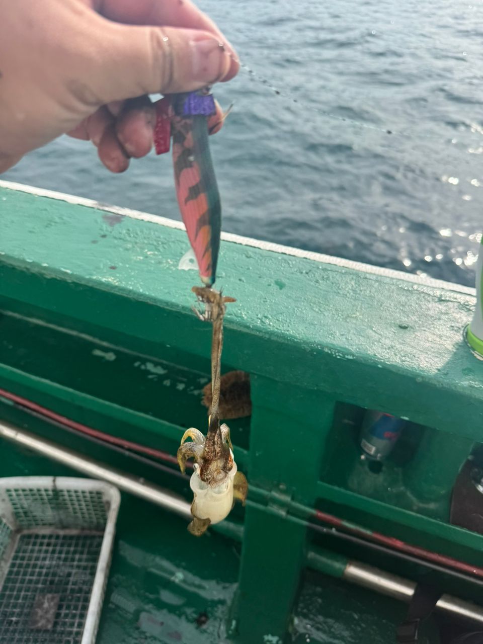 えびみそおじさんさんの釣果 1枚目の画像