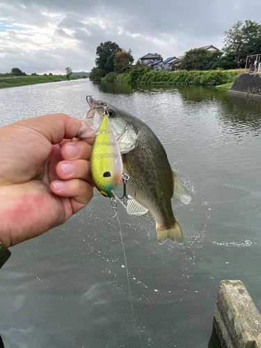 西の州水門