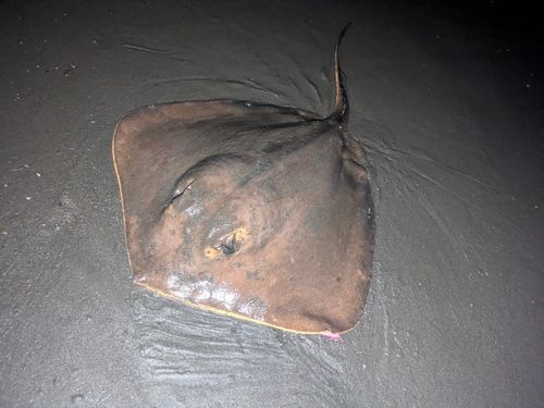 辻堂海浜公園前