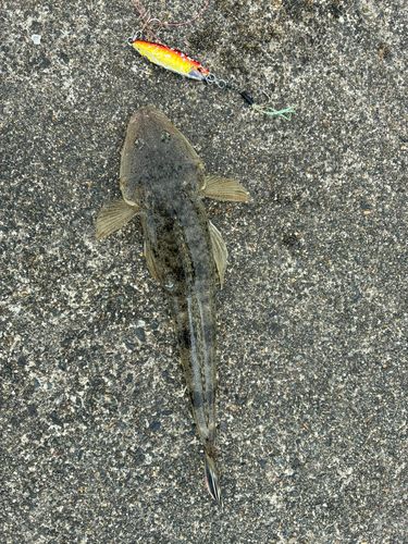 伊勢湾湾奥