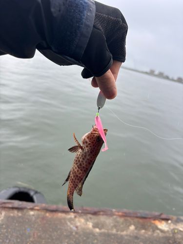 江尻埠頭