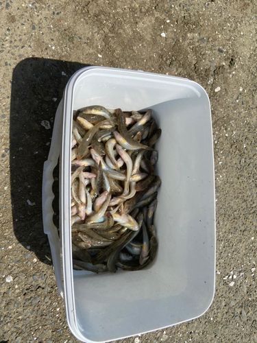 細江湖