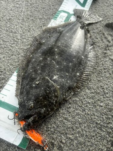 大倉戸海岸
