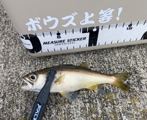 三陸海岸（宮城）