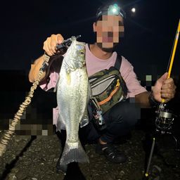 スズキ