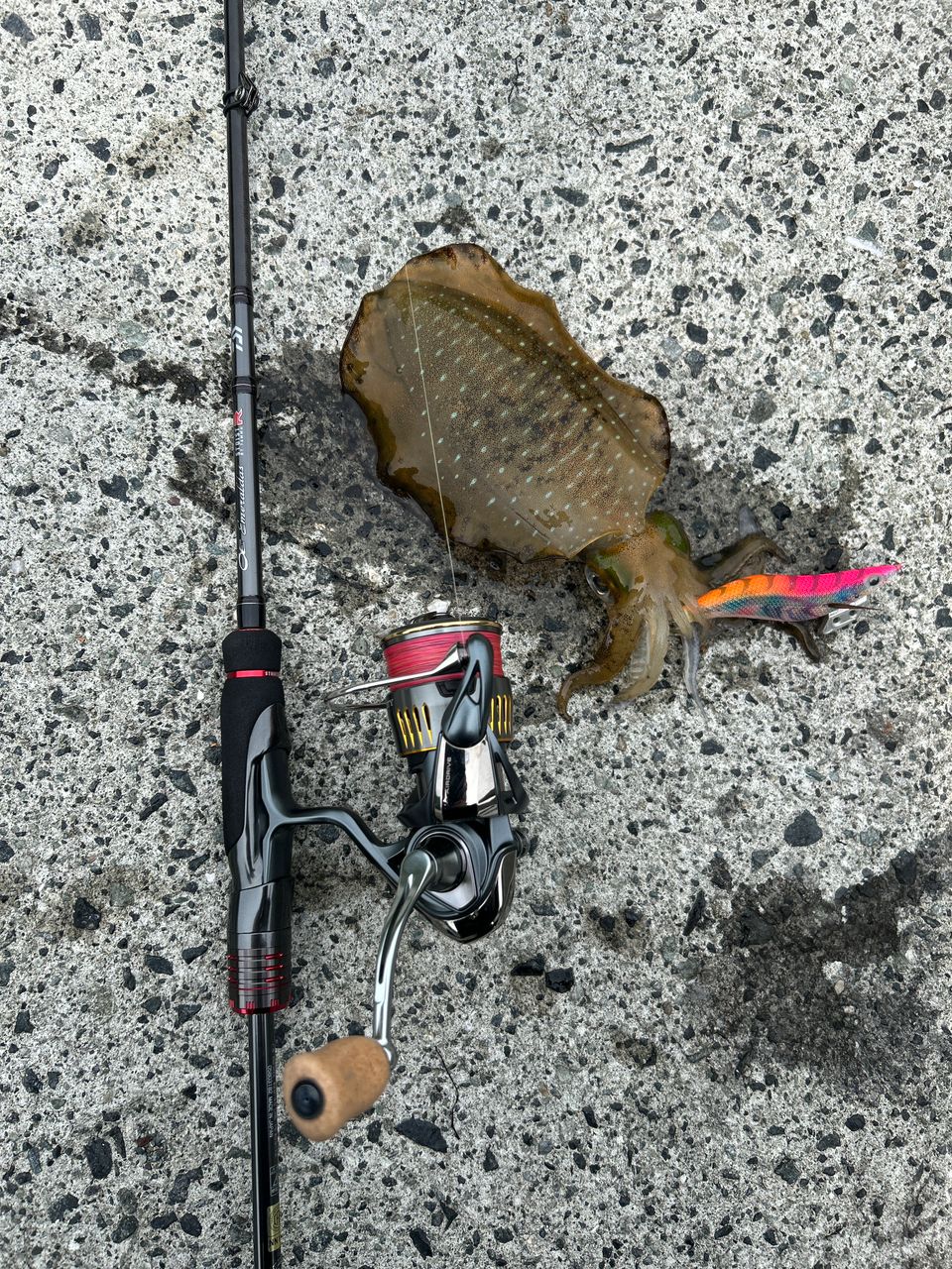 DAIWA 21エメラルダス ストイスト RT 76MMHの最安値・インプレ