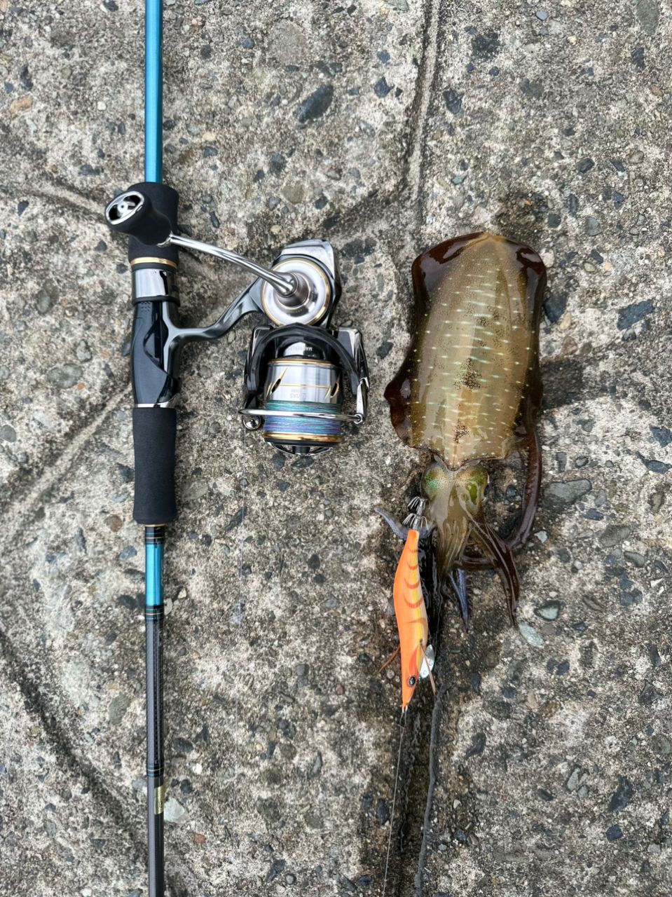 DAIWA20 エメラルダス　AIR AGS 86ML DAIWA（釣り） 【目玉商品】ダイワ 20 エメラルダス AIR AGS
