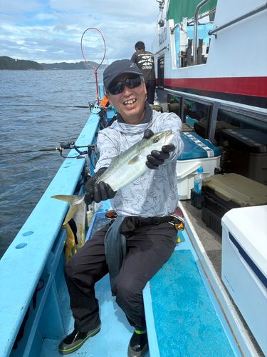 ツバスの釣果